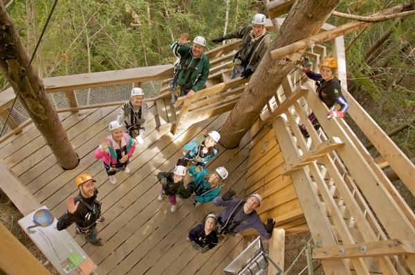 Ziptrek Ecotours Group Waving on Triangle Tree.